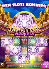 Responsive Design 998bra